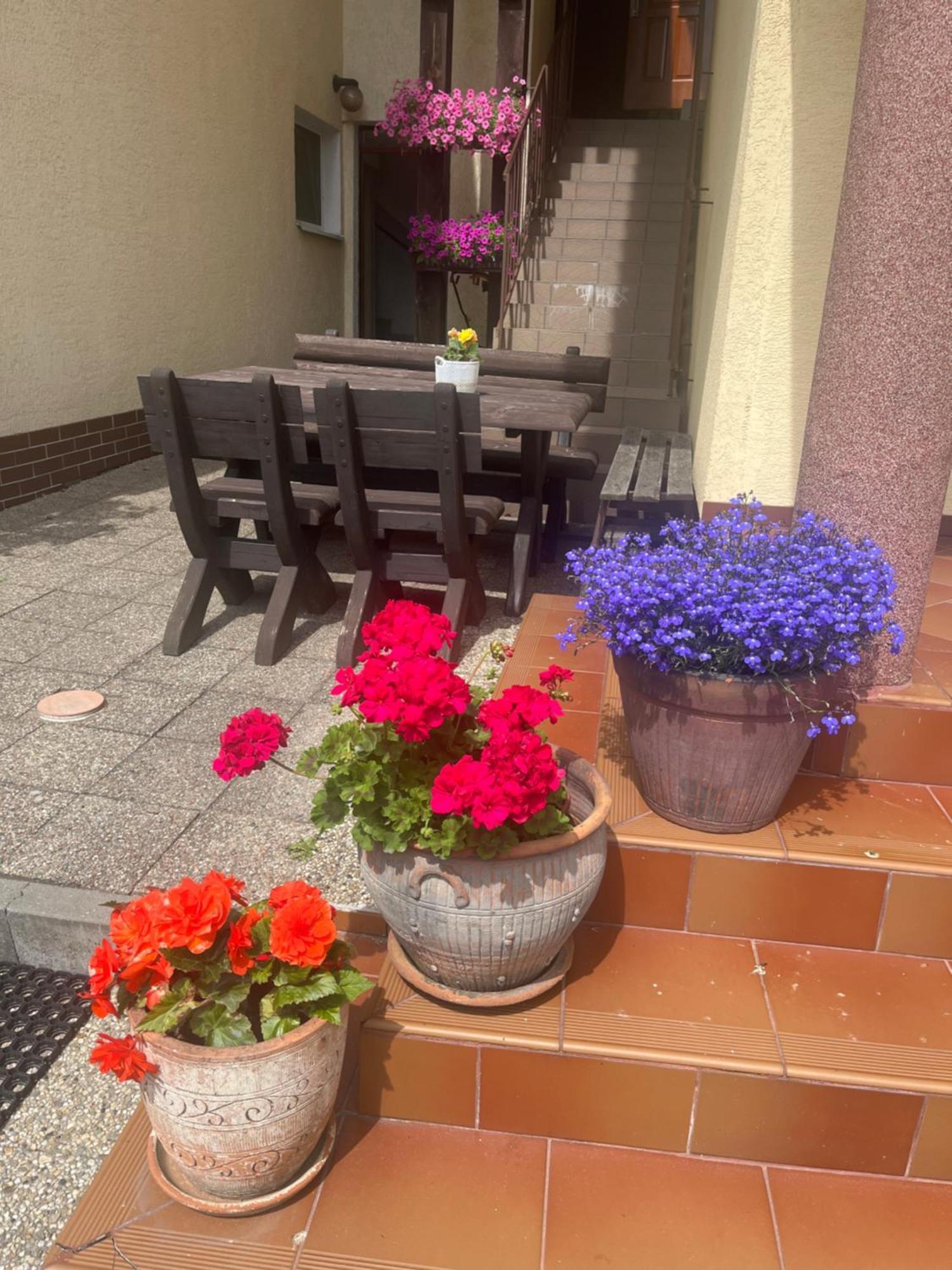 Dom Muszelka Hotel Krynica Morska Buitenkant foto